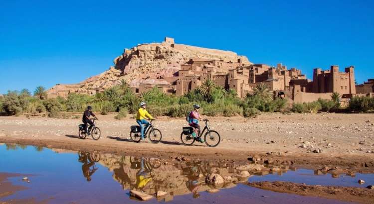 Belvelo Oman Foto Belvelo