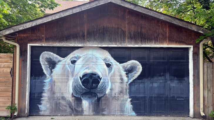 Kanada Manitoba Winnipeg Back Alley Arctic Foto Thomas Hartung.JPEG